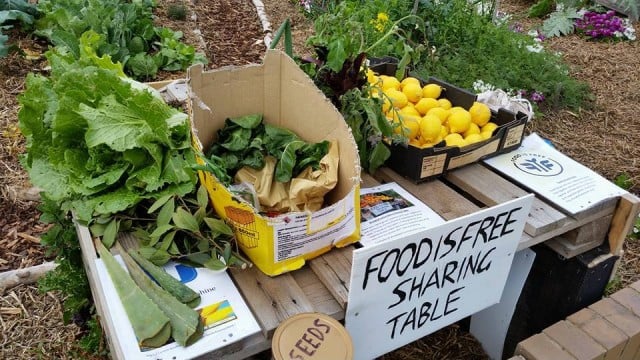 A ideia é compartilhar os alimentos com os vizinhos. | Foto: Food is Free Project