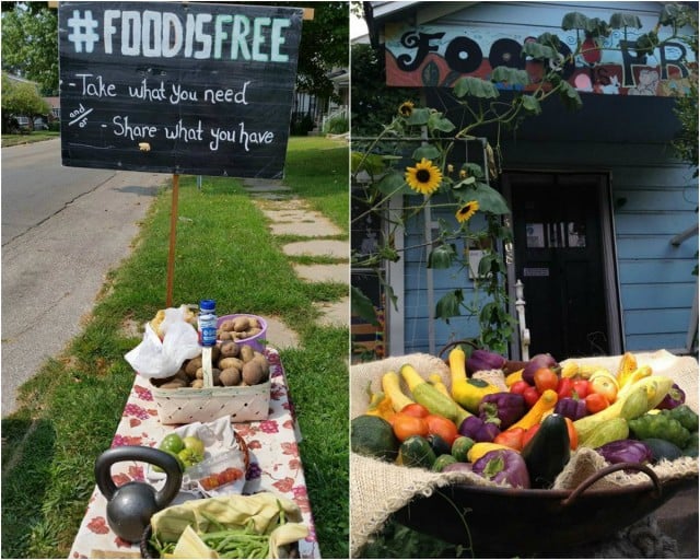 "Pegue o que você precisa e/ou compartilhe o que você tem".| Foto: Food is Free Project