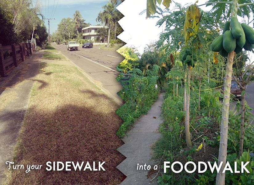 Projeto incentiva cultivo de alimentos orgânicos na calçada