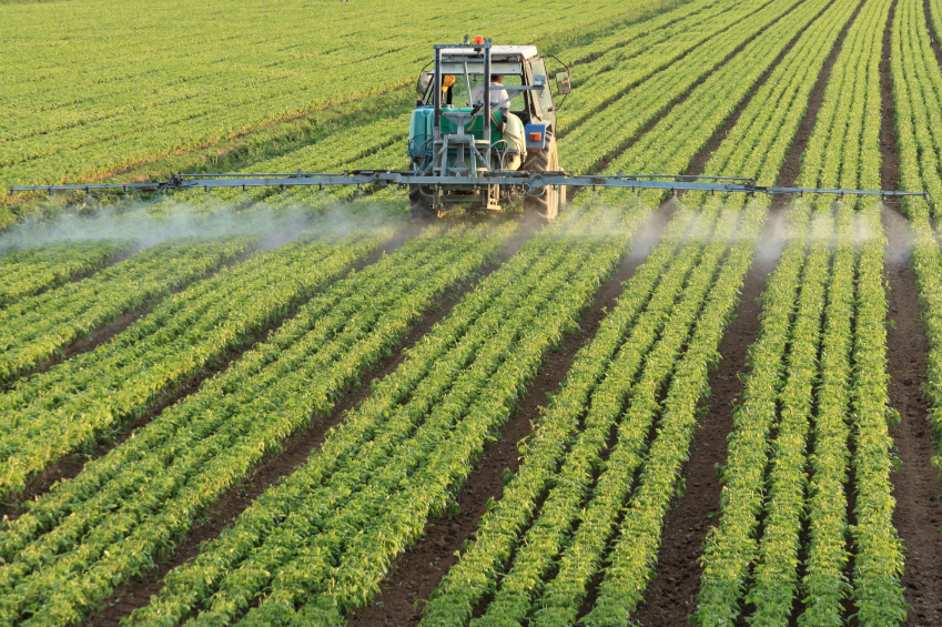 Agropecuária é responsável por 69% das emissões de gases de efeito estufa no Brasil