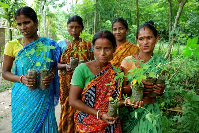 Women-with-saplings-West-Bengal-India.jpg.650x0_q70_crop-smart