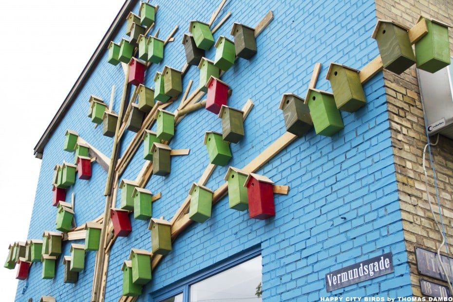 portalraizes.com - Pássaros urbanos ganham 3500 casas em Copenhague