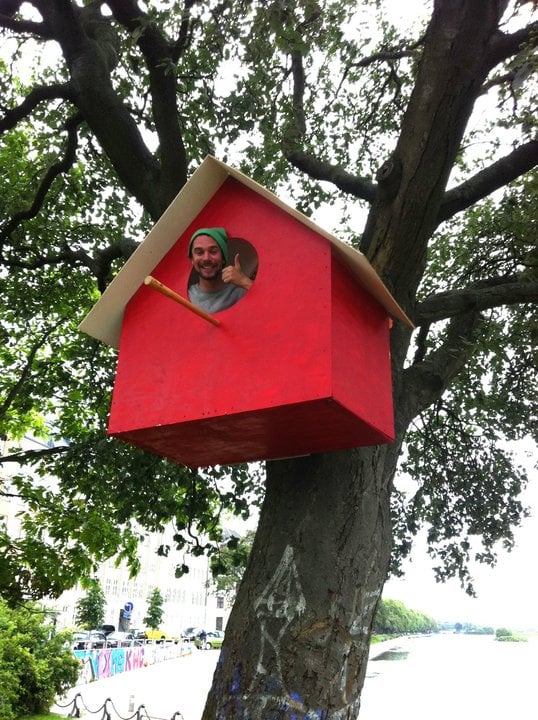 portalraizes.com - Pássaros urbanos ganham 3500 casas em Copenhague