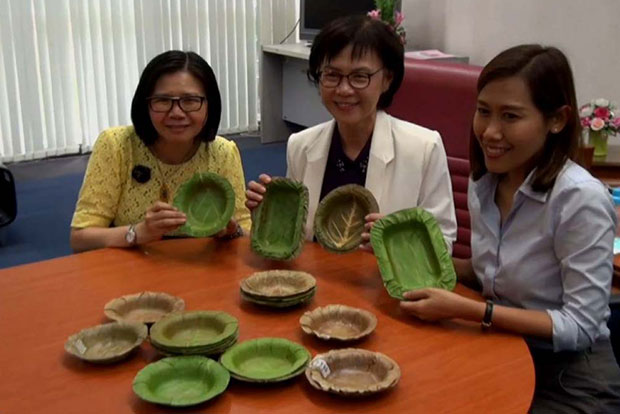 Pesquisadoras tailandesas criam pratos descartáveis feitos de folhas