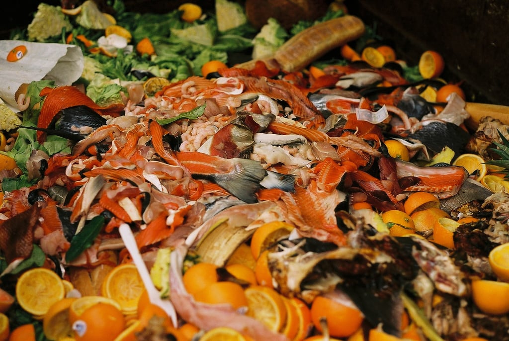 Coreia do Sul cobra multa por lixo orgânico para evitar desperdício de alimentos