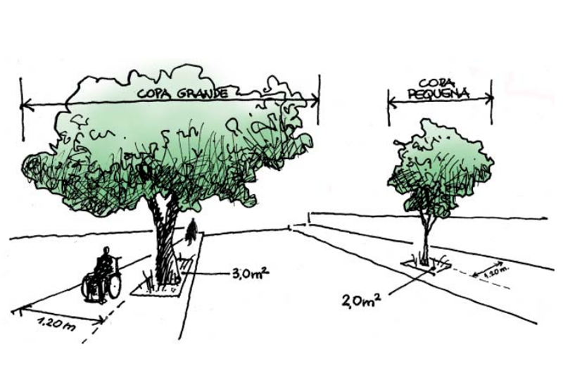 8 árvores ideais para plantar em calçadas