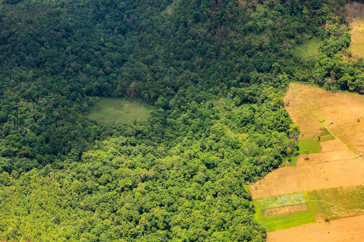 Desmatamento na Amazônia cresceu 29% em 2016
