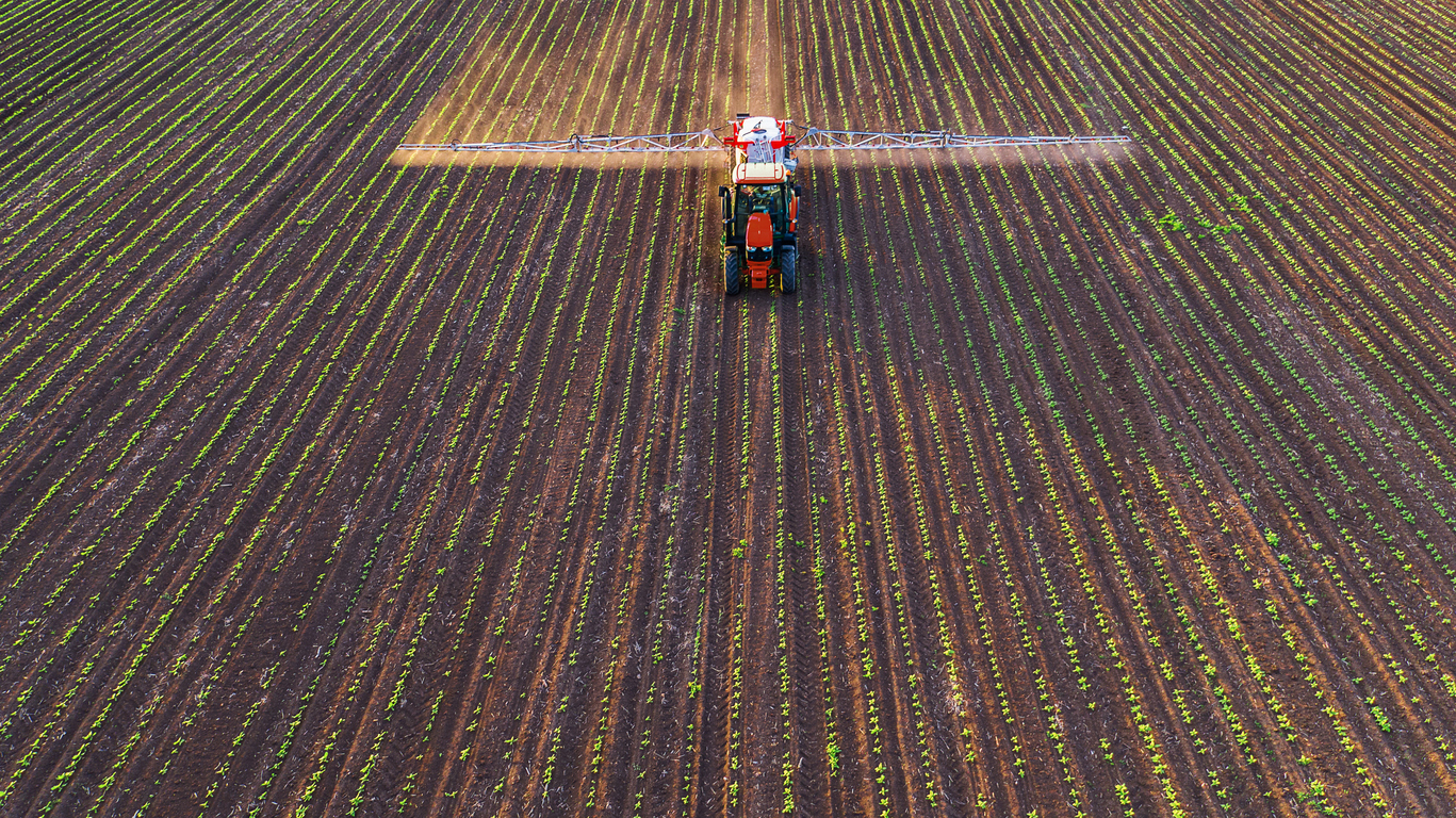 ONU denuncia ‘mito’ de que pesticidas são necessários para alimentar o mundo