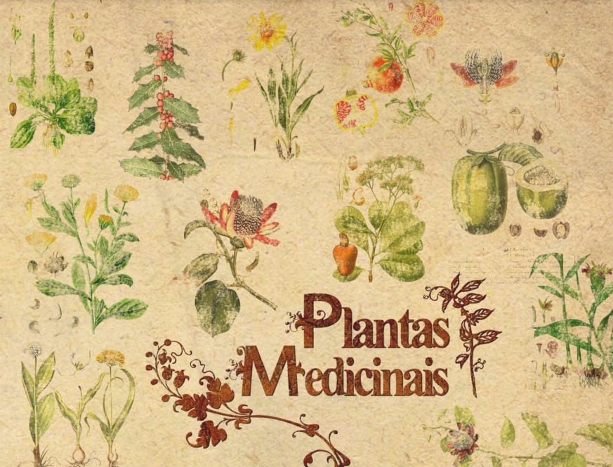 Conheça o livro de plantas medicinais online e gratuito