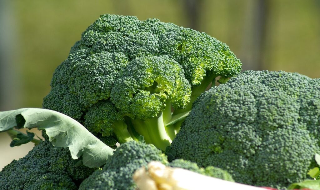 brócolis benefícios