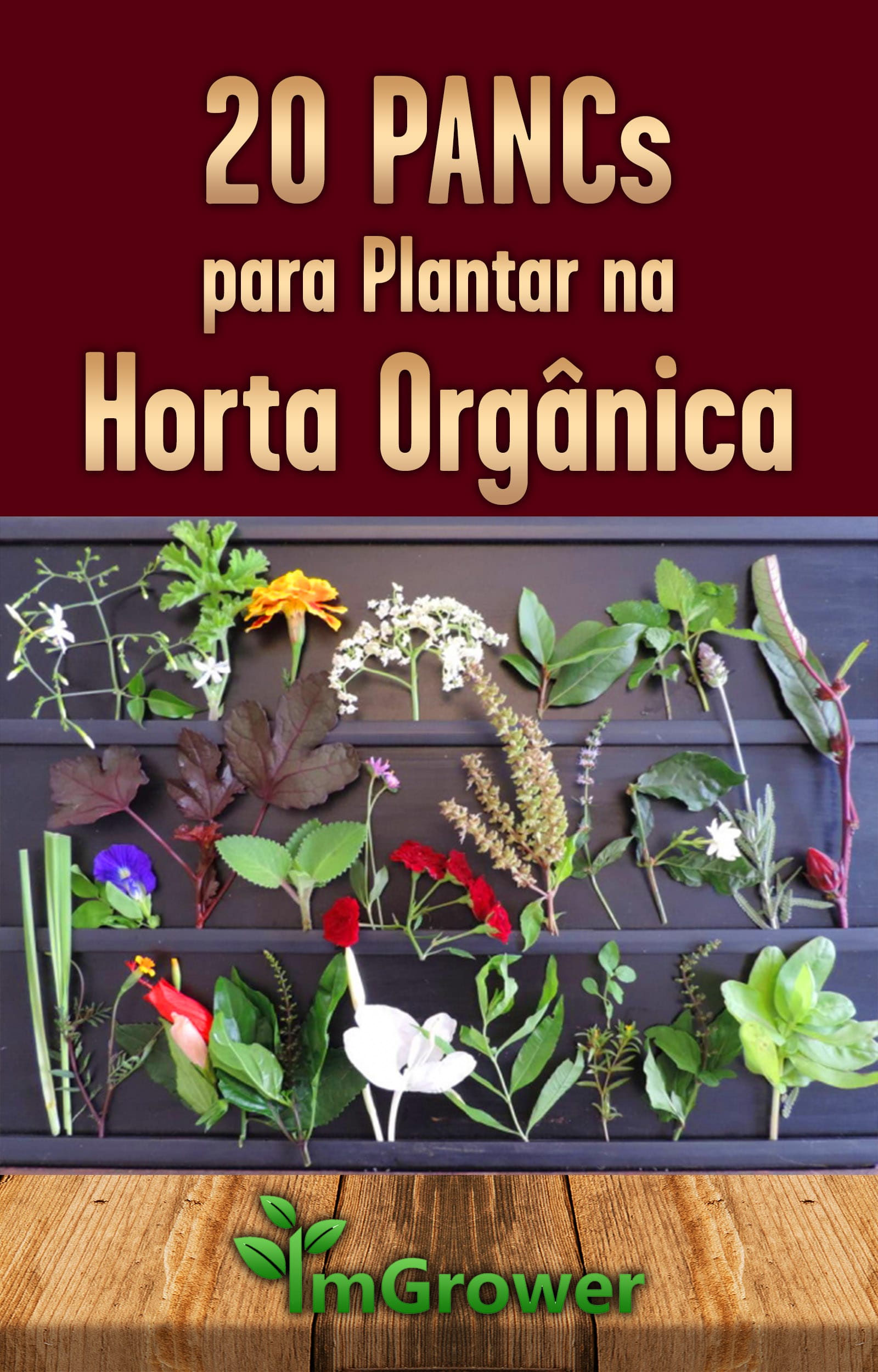 e-book-20-pancs-para-plantar-na-horta-organica-imgrower-1