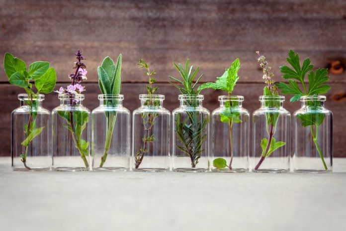 óleos essenciais aromaterapia