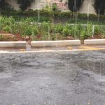 jardins de chuva