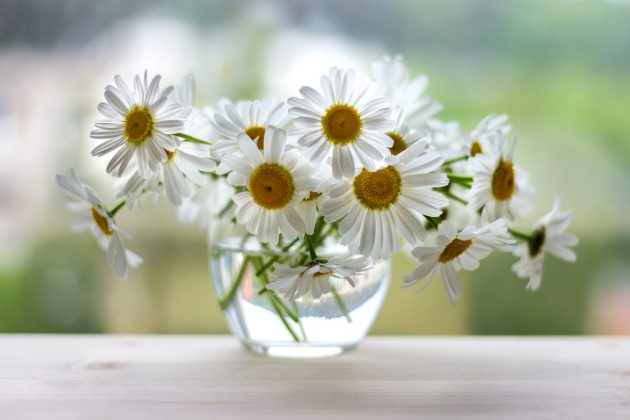 Dê um respiro: 19 imagens que trazem paz
