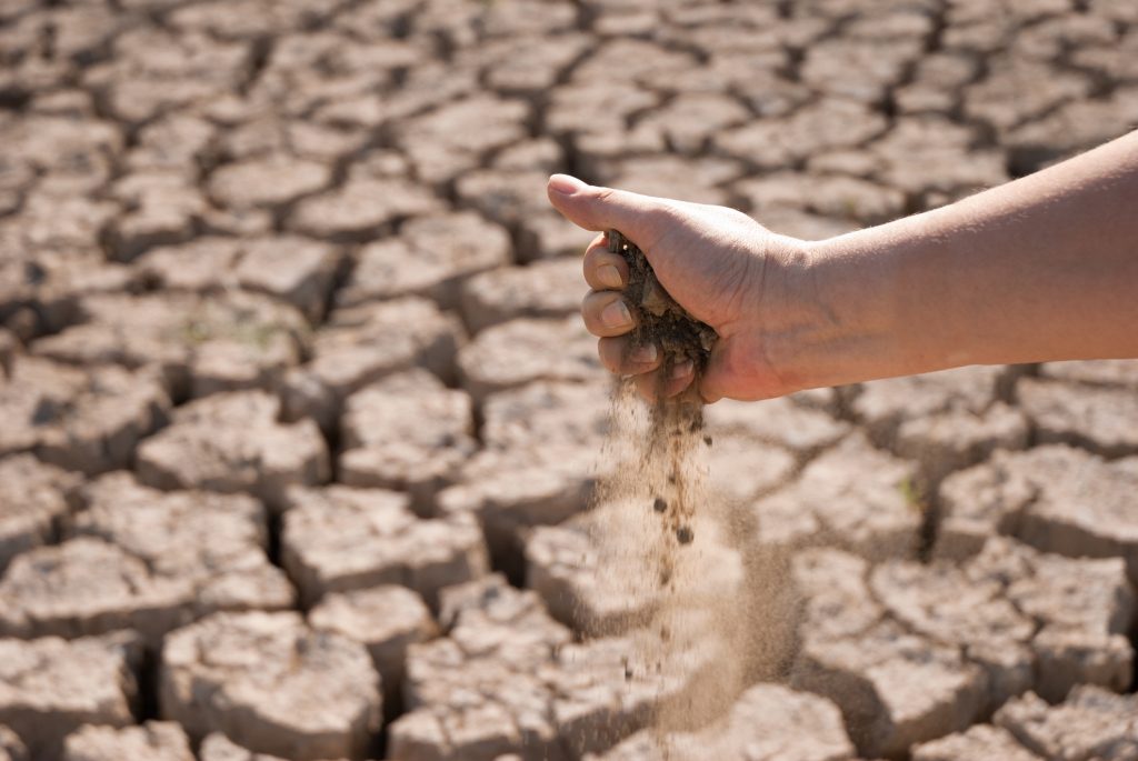 mudanças climáticas agricultura