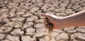 mudanças climáticas agricultura