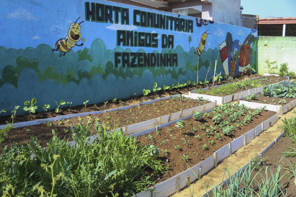 Horta comunitária do Fazendinha em Curitiba