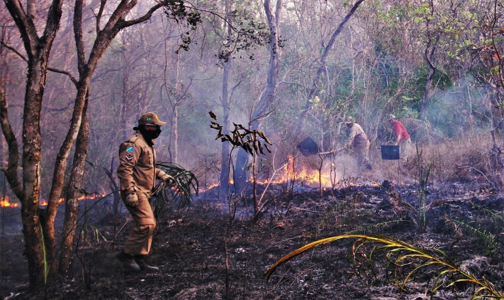 fogo Pantanal