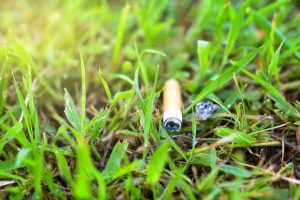 Bituca ou gimba de cigarro jogado em gramado