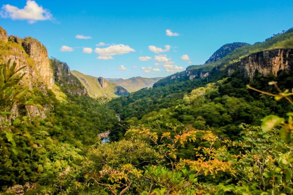 cerrado