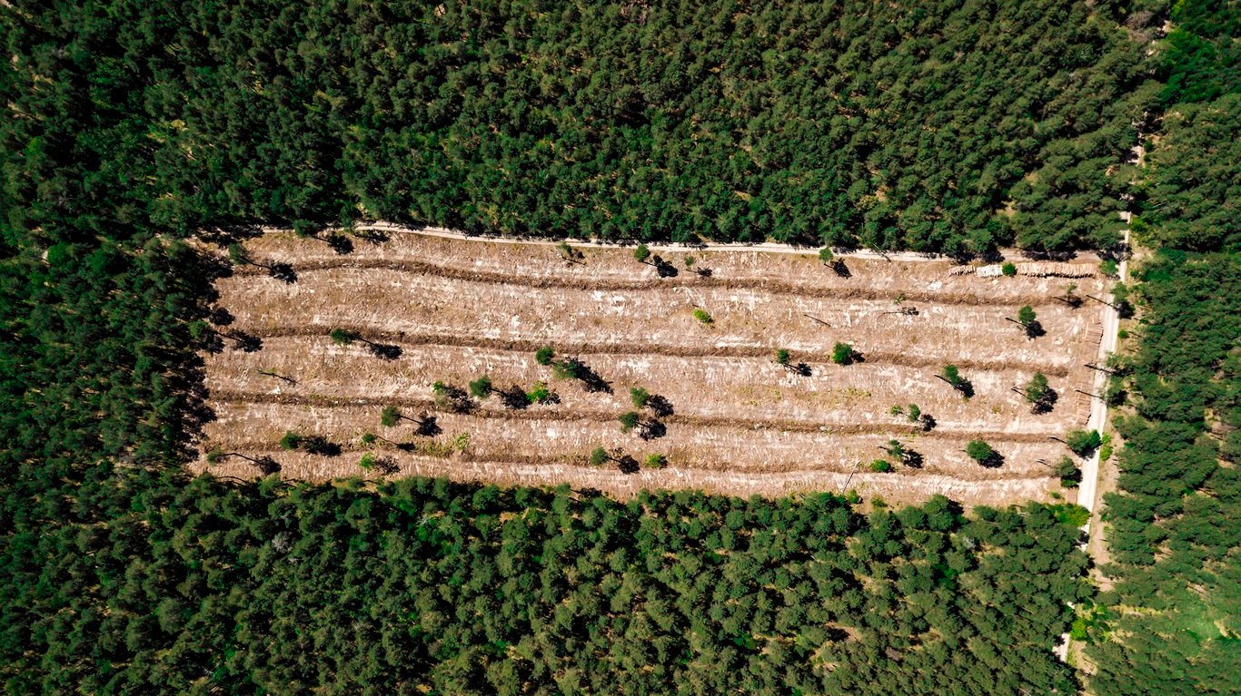 desmatamento abril amazonia