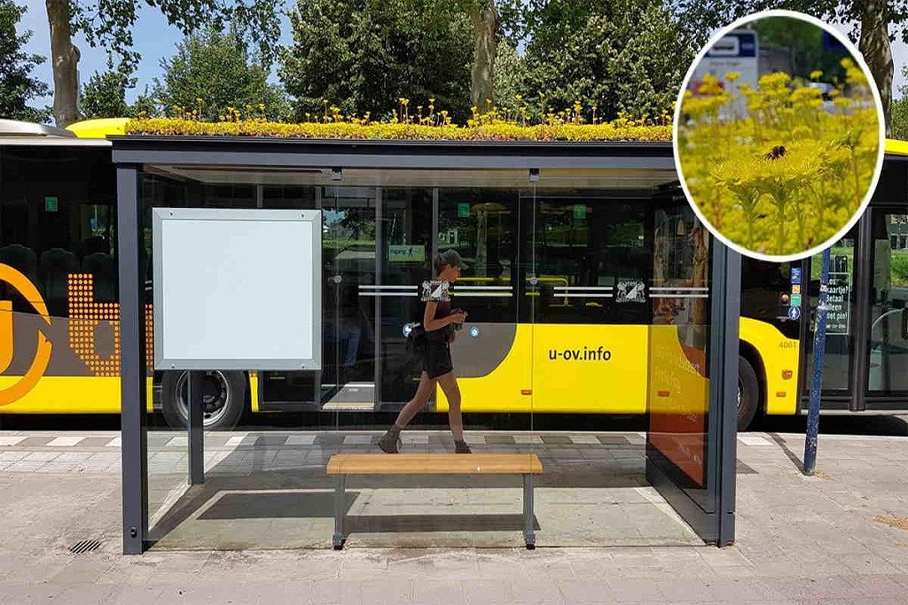 ponto de ônibus para abelhas