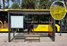 ponto de ônibus para abelhas