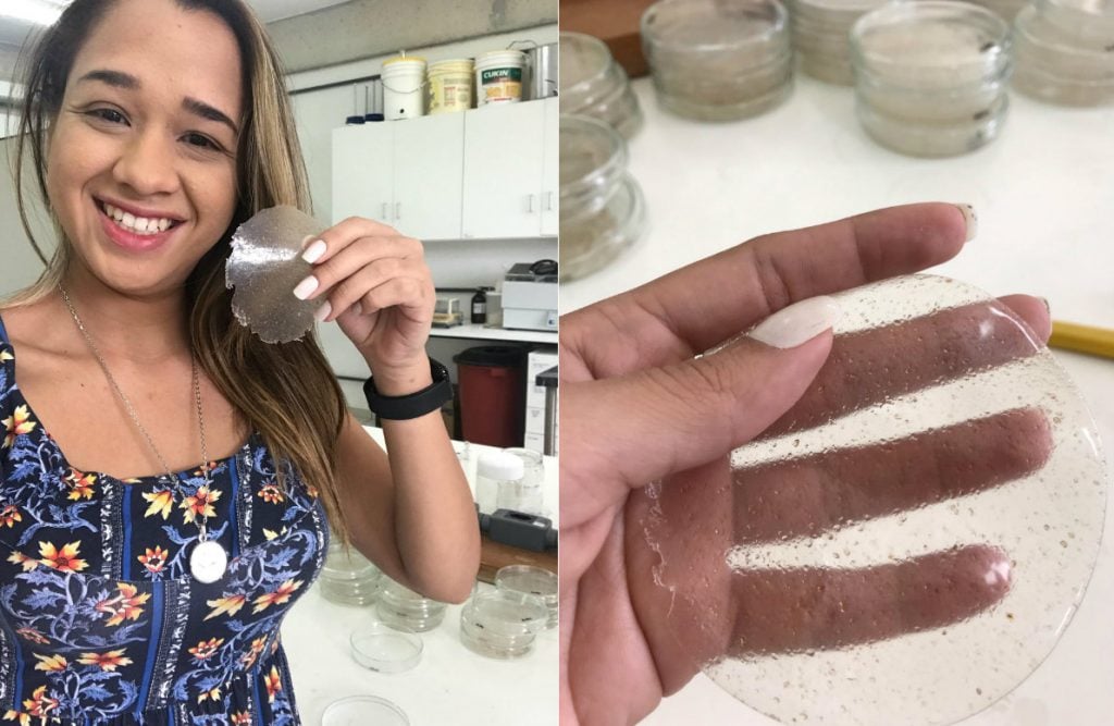 biofilme