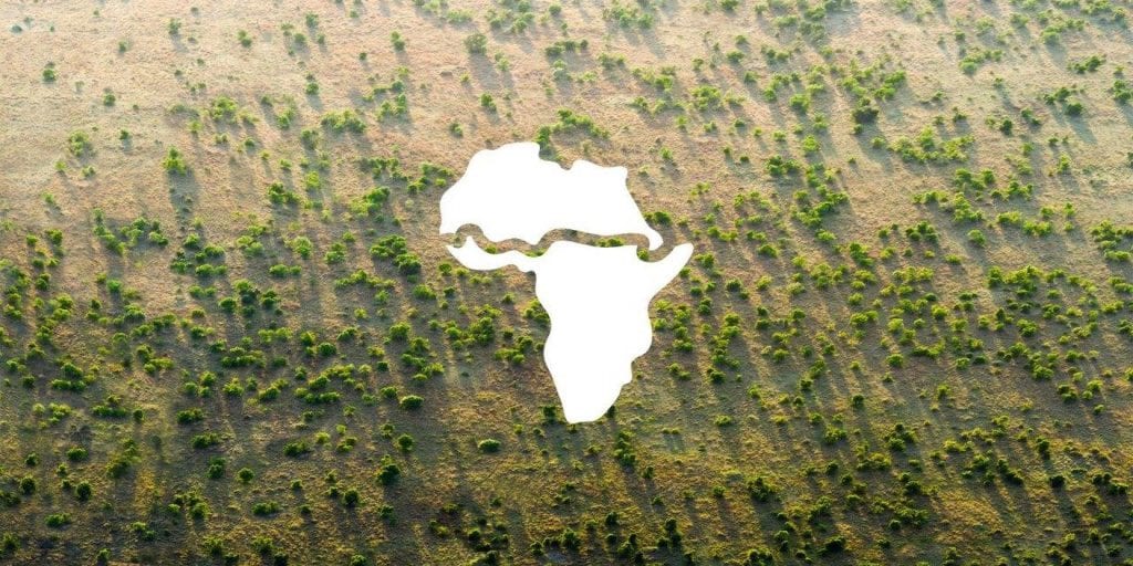 muralha de árvores áfrica