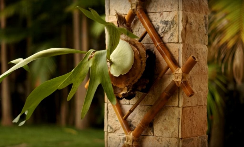suporte bambu