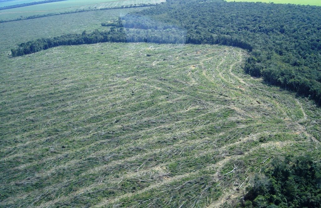 Desmatamento amazônia