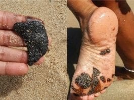óleo nas praias