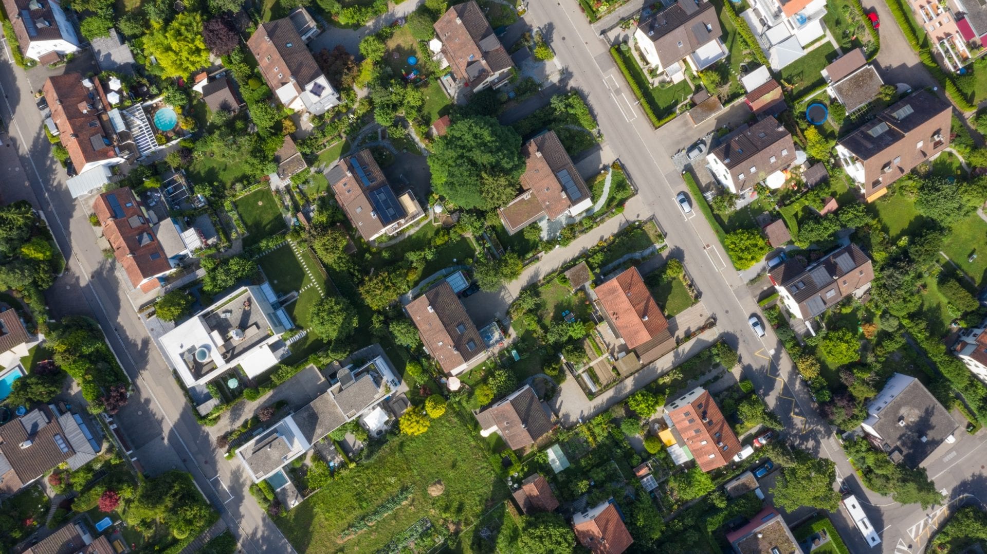 Saiba quais são as cidades mais arborizadas do Brasil - CicloVivo