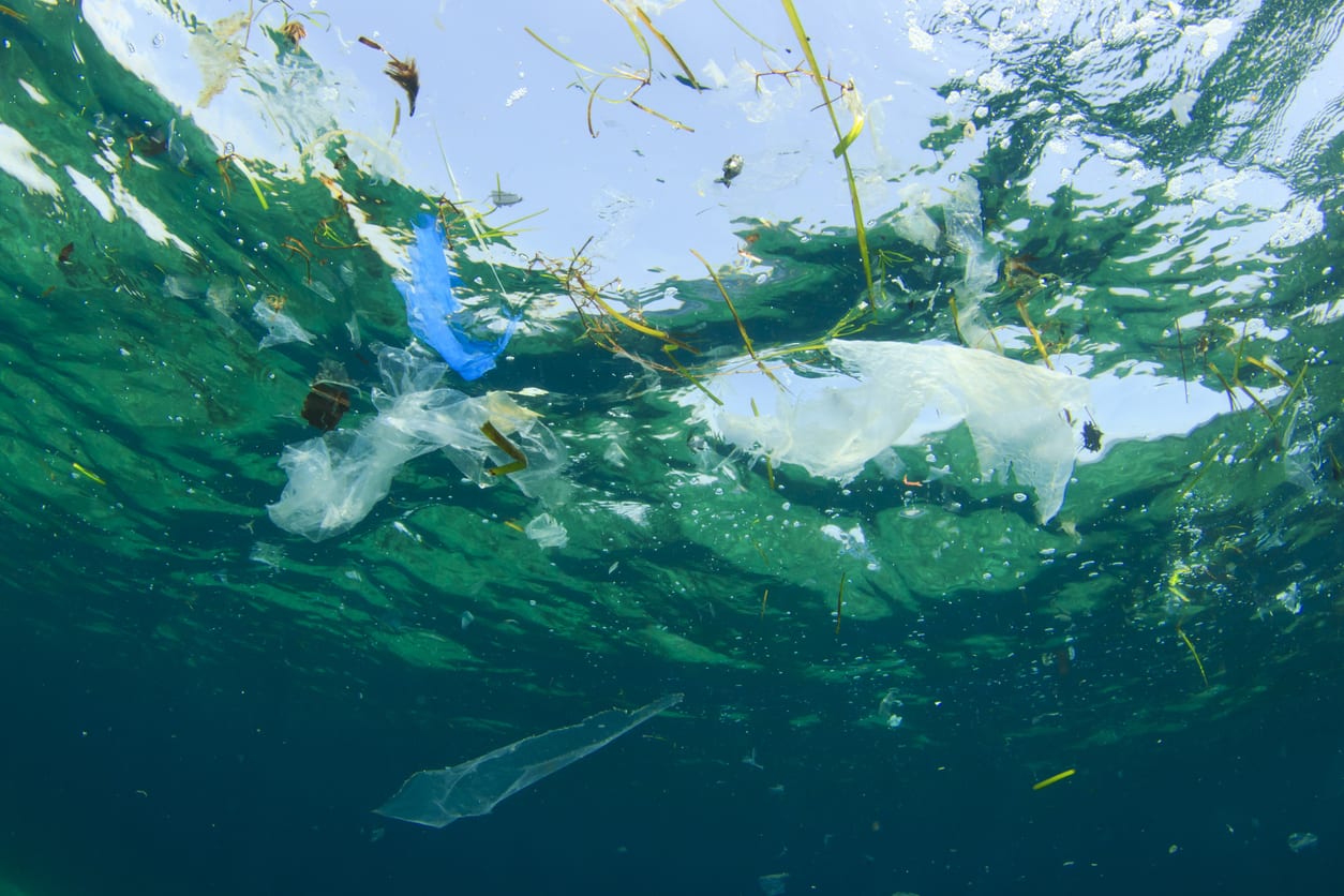poluição por plástico oceanos