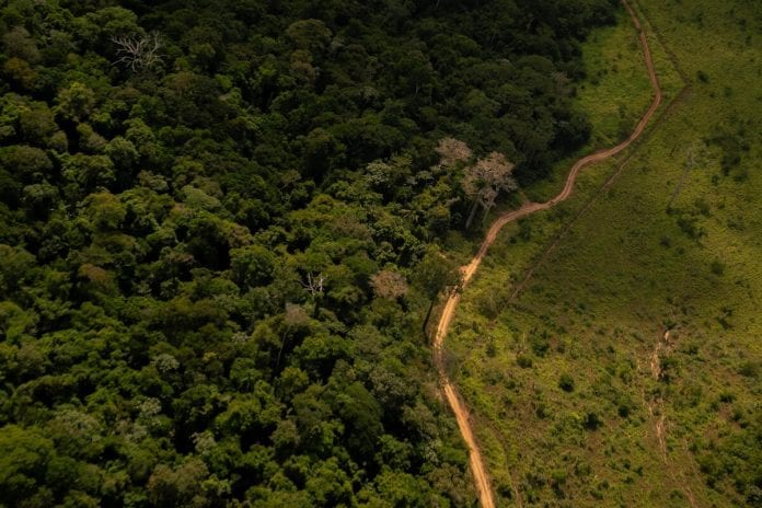 desmatamento amazônia