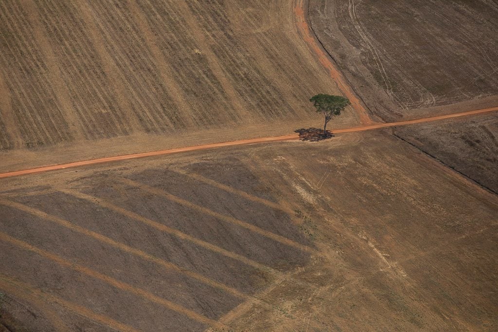 desmatamento Amazônia prejuízo agronegócio