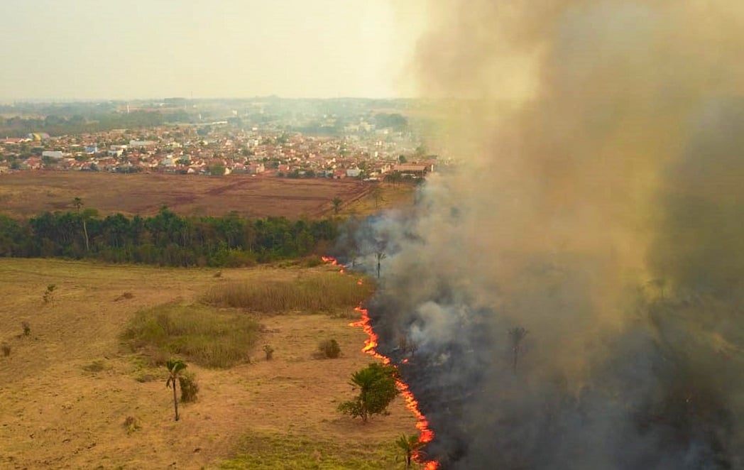 Pantanal fogo