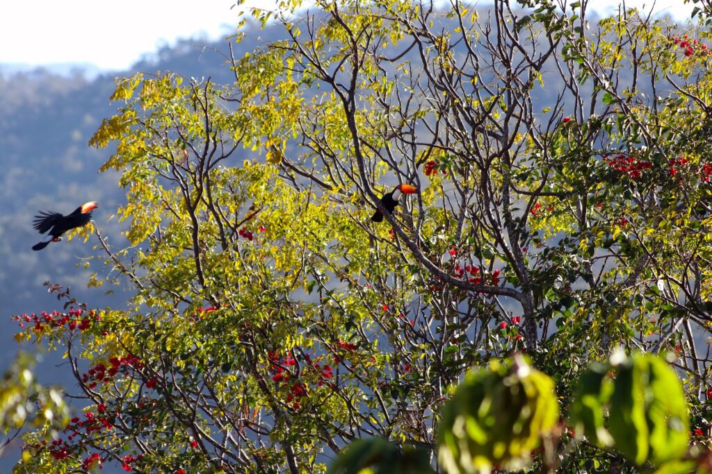 alto paraíso de goiás