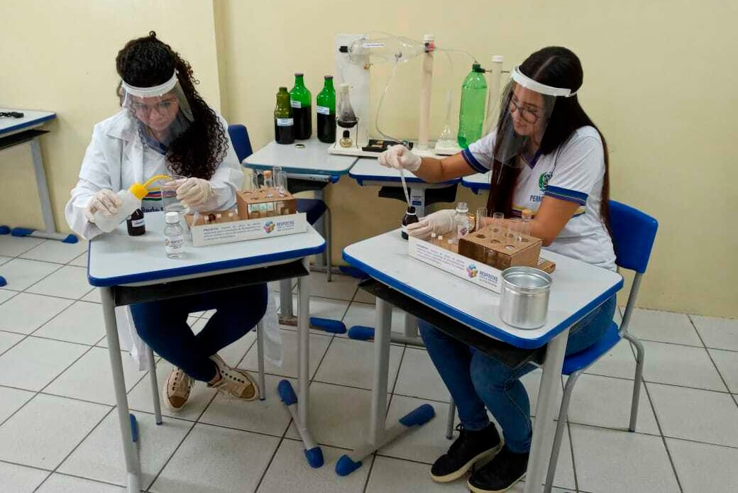 Estudantes de Pernambuco criam repelente com canela e hortelã para combater Aedes aegypti | CicloVivo