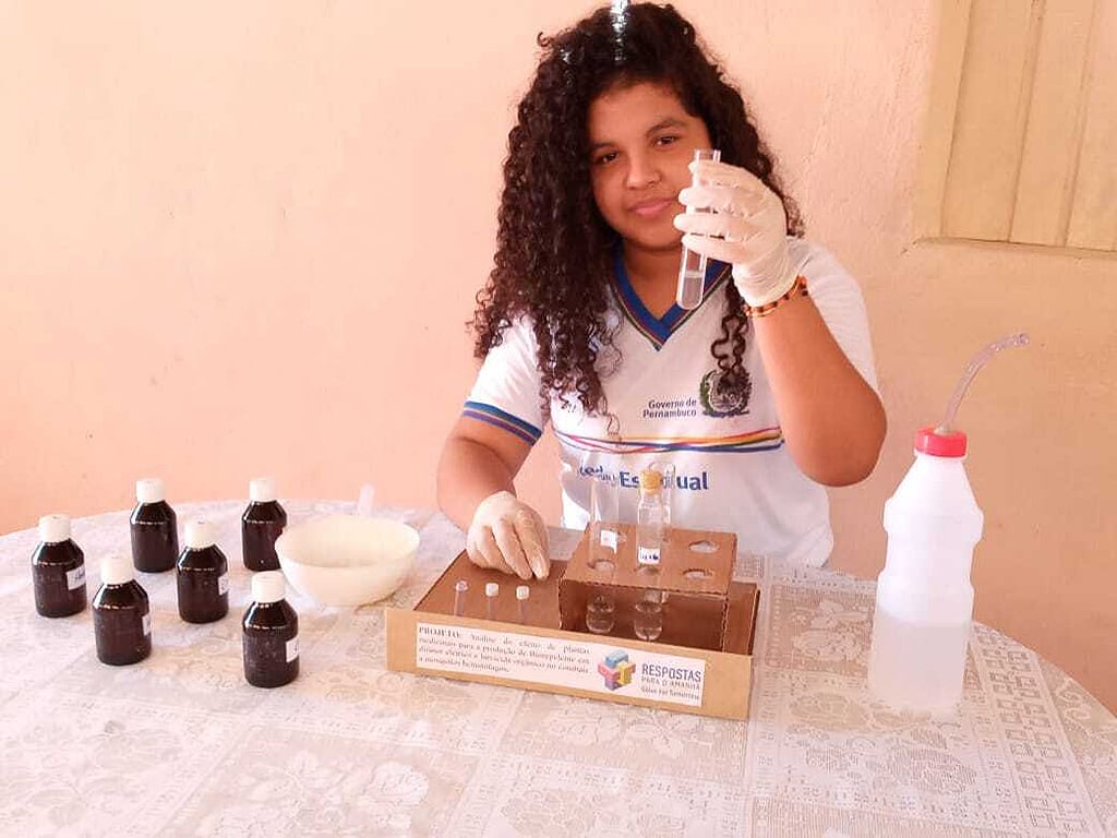 Estudantes de Pernambuco criam repelente com canela e hortelã para combater Aedes aegypti | CicloVivo