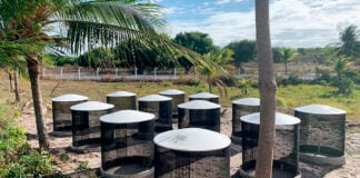 compostagem beach club fortaleza