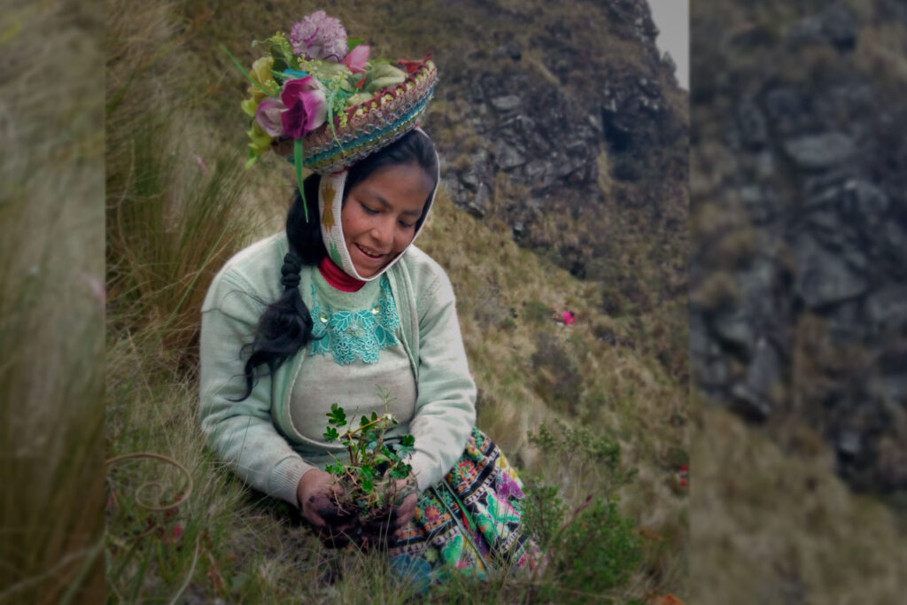Comunidades indígenas estão reflorestando os Andes | CicloVivo