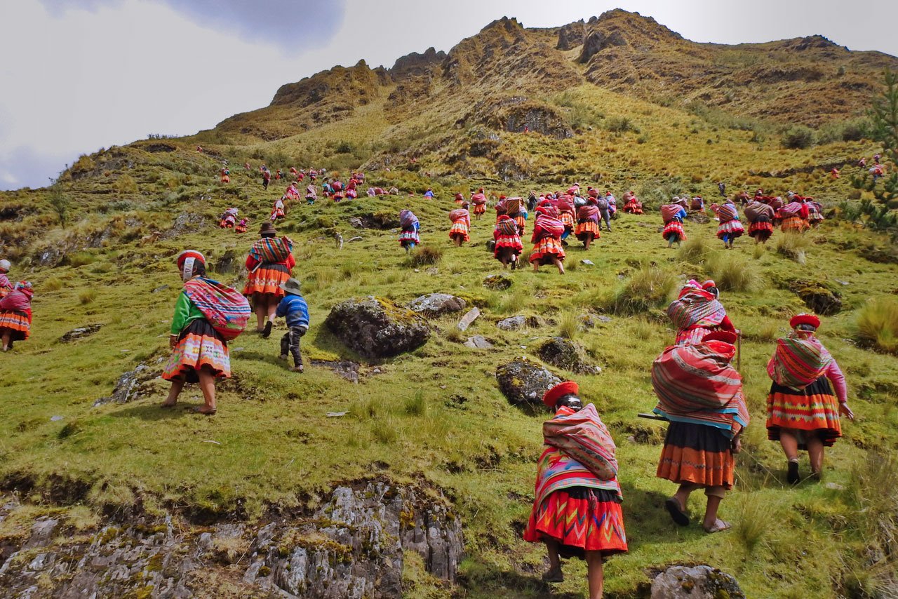 Comunidades indígenas estão reflorestando os Andes | CicloVivo