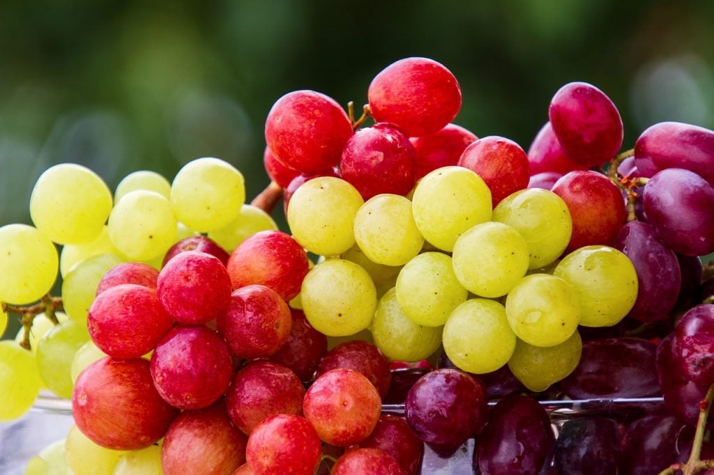frutas natal uva