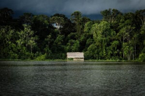 conservação Amazônia base comunitária