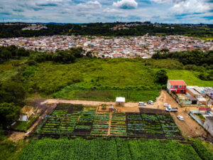 agricultura urbana e periurbana