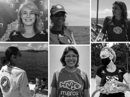 mulheres brasileiras projetos vida marinha