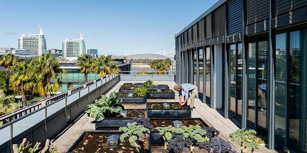 horta empresas Noocity