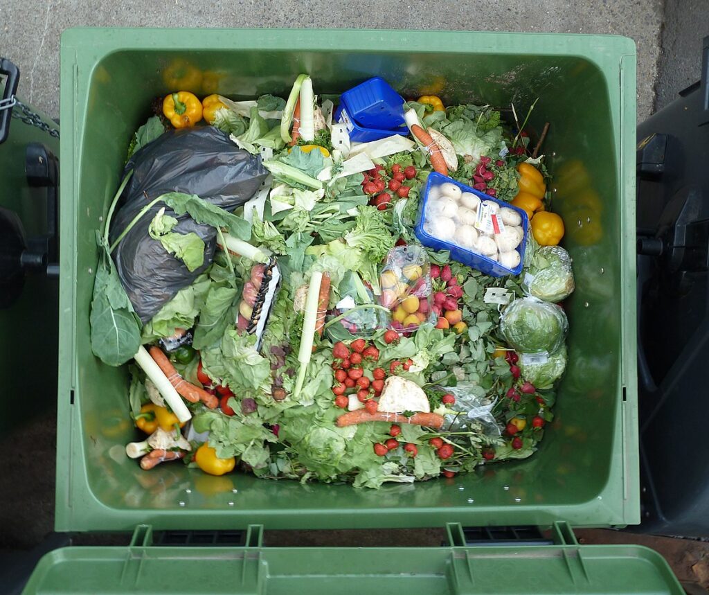 1 bilhão de refeições vão para o lixo todos os dias