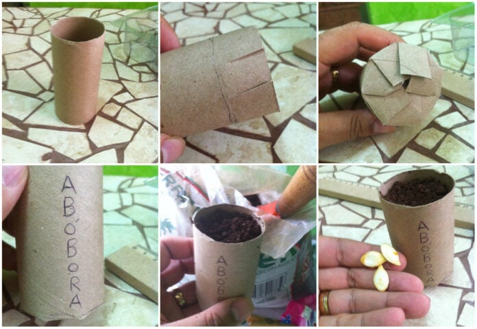 papelão jardinagem